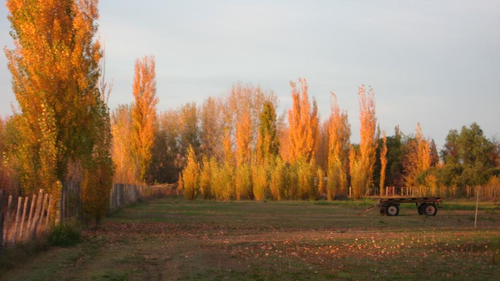 Posada Del Viajero San Rafael ภายนอก รูปภาพ