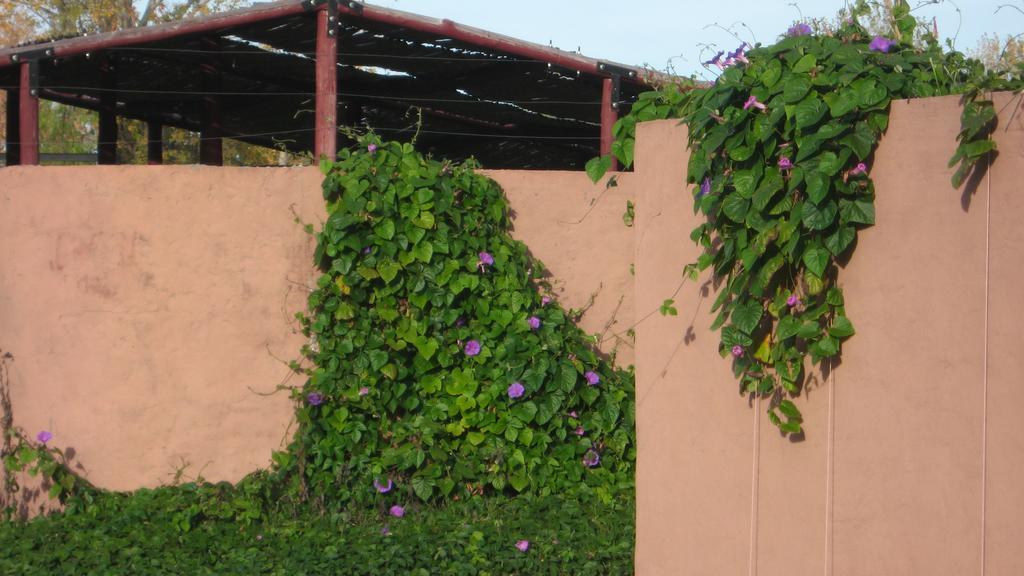 Posada Del Viajero San Rafael ภายนอก รูปภาพ